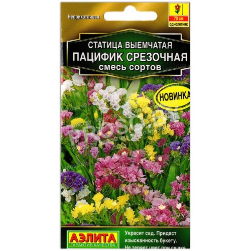 Статица выемчатая Пацифик смесь сортов