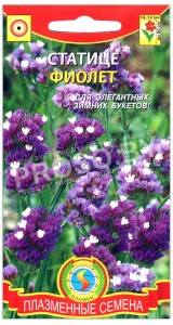 Статице Фиолет