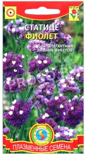 Статице Фиолет