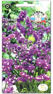 Статице Гжель