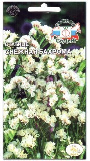 Статице Снежная бахрома