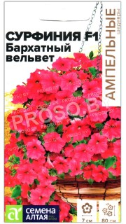 Сурфиния Бархатный вельвет F1