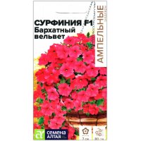 Сурфиния Бархатный вельвет F1