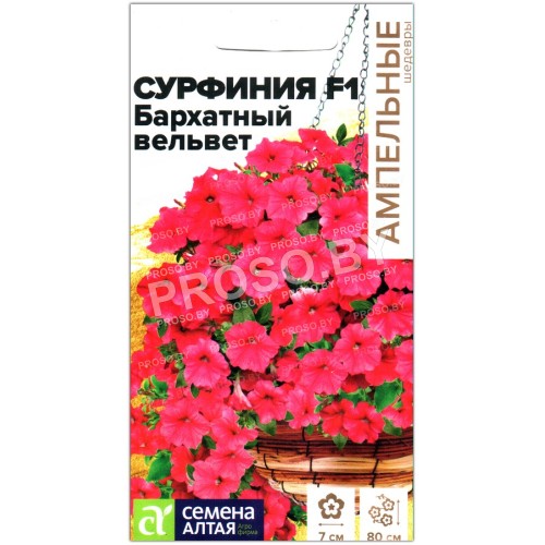 Сурфиния Бархатный вельвет F1