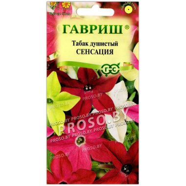 Табак душистый Сенсация, смесь