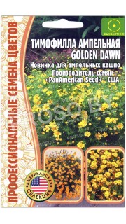 Тимофилла ампельная Golden dawn
