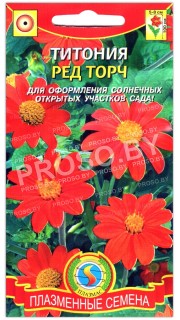 Титония Ред торч