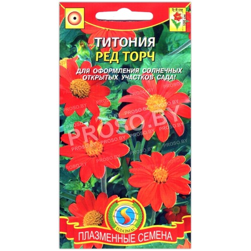 Титония Ред торч