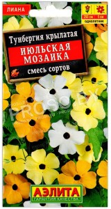 Тунбергия крылатая Июльская мозаика, смесь