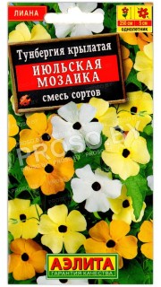 Тунбергия крылатая Июльская мозаика, смесь