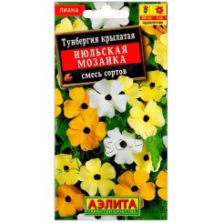 Тунбергия крылатая Июльская мозаика, смесь