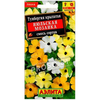 Тунбергия крылатая Июльская мозаика, смесь