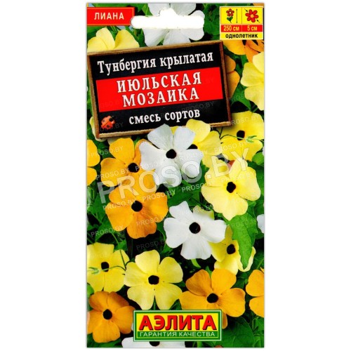 Тунбергия крылатая Июльская мозаика, смесь