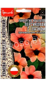 Тунбергия крылатая Персиковая с глазком