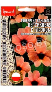 Тунбергия крылатая Персиковая с глазком