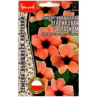 Тунбергия крылатая Персиковая с глазком