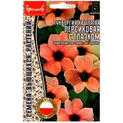 Тунбергия крылатая Персиковая с глазком