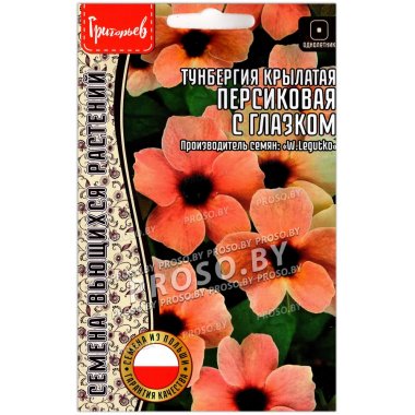 Тунбергия крылатая Персиковая с глазком