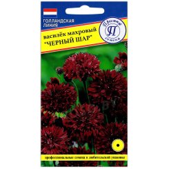 Василек Черный шар