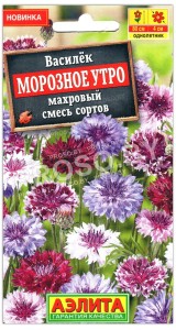 Василек махровый Морозное утро, смесь