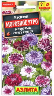 Василек махровый Морозное утро, смесь