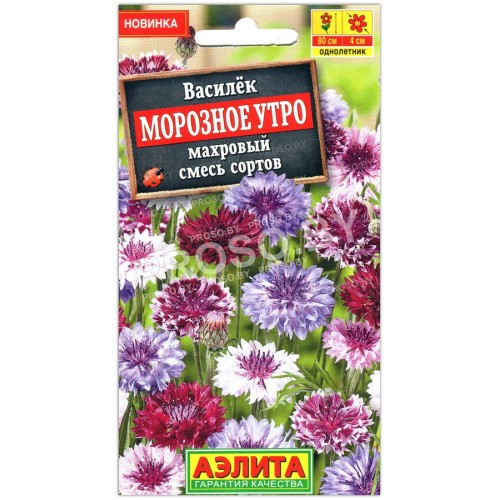 Василек махровый Морозное утро, смесь
