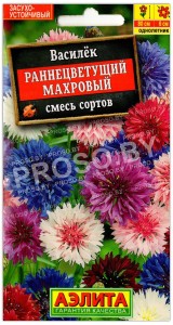Василек Раннецветущий махровый, смесь
