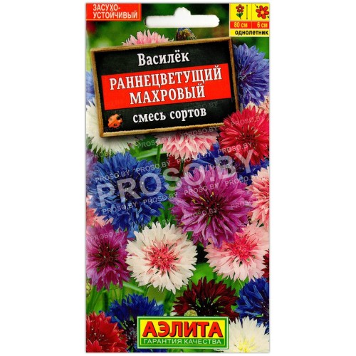 Василек Раннецветущий махровый, смесь