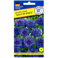 Василек синий Блауэр юнге