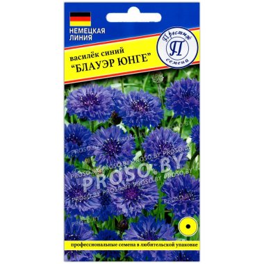 Василек синий Блауэр юнге