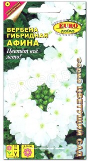 Вербена Афина