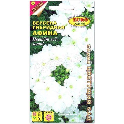 Вербена Афина