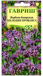 Вербена бонарская Мелодия прованса