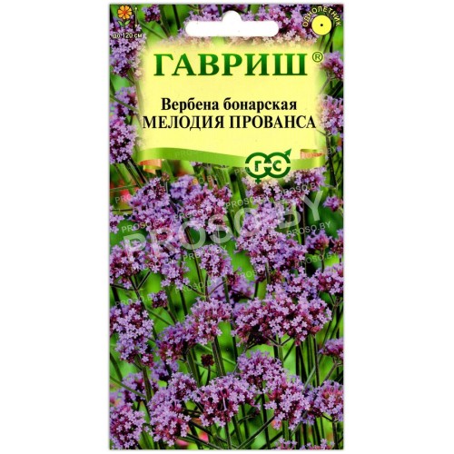 Вербена бонарская Мелодия прованса
