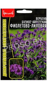Вербена буэнос-айресская Фиолетово-лиловая