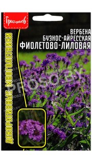 Вербена буэнос-айресская Фиолетово-лиловая