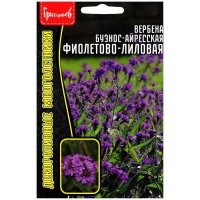 Вербена буэнос-айресская Фиолетово-лиловая