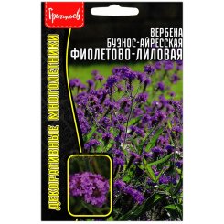 Вербена буэнос-айресская Фиолетово-лиловая