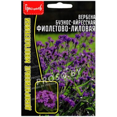Вербена буэнос-айресская Фиолетово-лиловая