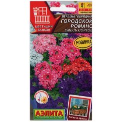 Вербена гибридная Городской романс, смесь