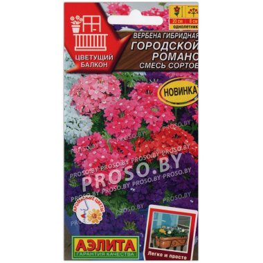 Вербена гибридная Городской романс, смесь