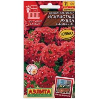 Вербена гибридная Искристый рубин