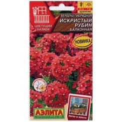 Вербена гибридная Искристый рубин