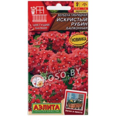 Вербена гибридная Искристый рубин