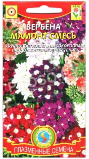 Вербена Мамонт, смесь