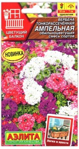 Вербена тонкорассеченная Ампельная обильноцветущая, смесь