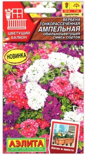 Вербена тонкорассеченная Ампельная обильноцветущая, смесь