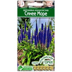 Вероника колосистая Синее море