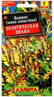 Вьюнок Экзотическая лиана