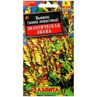 Вьюнок Экзотическая лиана